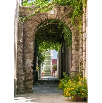 Obraz Plakát Capri 2 bez rámu 39,5 x 55 cm