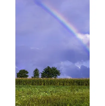Obraz Plakát Duha nad polem bez rámu 29,7 x 42 cm