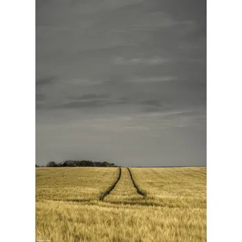 Obraz Plakát Pšeničné pole bez rámu 21 x 29,7 cm