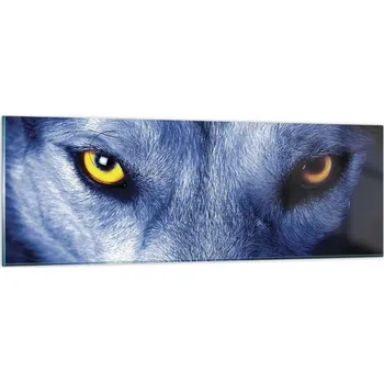 Obraz Obraz na skle do obýváku ložnice 90x30 zvířata obrazy na zeď sklo