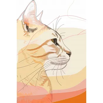 Plakát Plakát Jemný Profil Kočky bez rámu 61 x 90,5 cm