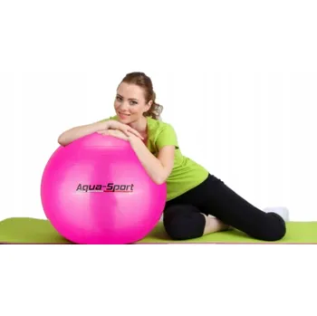 Gymnastický míč GYMNASTICKÝ MÍČ FITNESS REHABILITAČNÍ 55cm