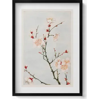 Obraz Obraz + černý rámeček Minimalistická ilustrace větve s květy 50x70 cm