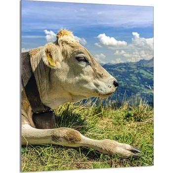 Kuchyňské prkénko Krájecí deska TMK ArtDeko sklo 1 ks