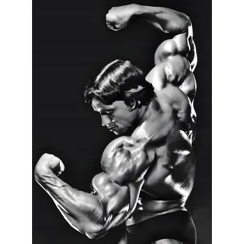 Obraz Plakát Arnold Schwarzenegger bez rámu 30 x 40 cm