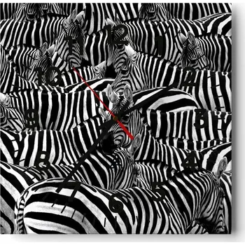 Hodiny Nástěnné hodiny do obýváku 40x40 Zvířata Bezhluczne Skleněné hodiny Tiché