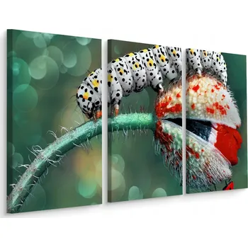 Obraz Obraz Tryptych HOUSENKA Rostlina Květ 3D 60x40