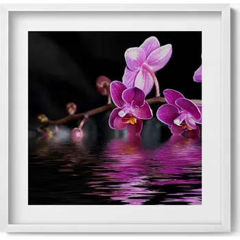 Obraz Obraz s rámem a grafikou na zeď Růžový květ orchideje na vodě 50x50 cm