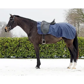 Vybavení pro koně Nepromokavá bederní deka QHP, tmavě modrá, XL