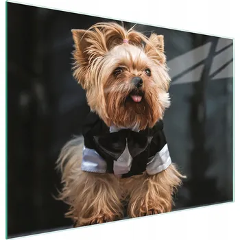 Kuchyňské prkénko Krájecí deska TMK ArtDeko sklo 1 ks