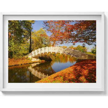 Obraz Dekorativní obraz v bílém rámu na zeď Park Woerlitzer na podzim 80x60 cm