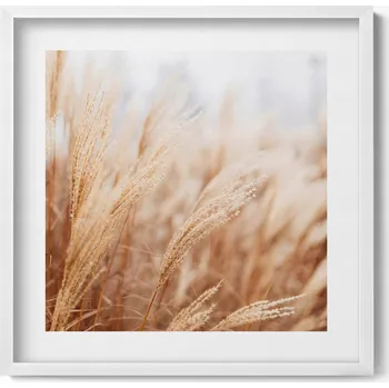 Obraz Dekorativní obraz v bílém rámu na zeď Natura boho trávy obilí 50x50 cm