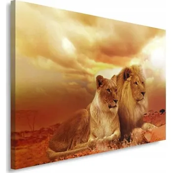 Obraz OBRAZ NA PLÁTNĚ ZVÍŘATA ORANŽOVÝ 60x40