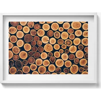Obraz Nástěnný dekorativní foto obraz v bílém rámu – Dřevěné špalky stromů 70x50 cm