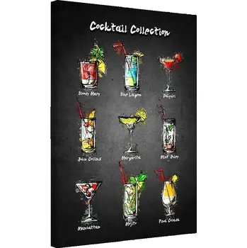 Obraz Obraz na plátně Feeby Kolekce koktejlů 60x90 cm