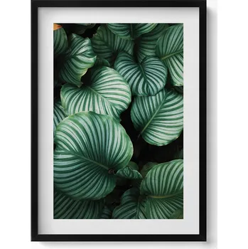 Obraz Dekorativní obraz v černém rámu do obýváku Velké zelené listy 50x70 cm