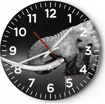 Hodiny Nástěnné hodiny do obýváku 40x40 Zvířata Kulatý Skleněné hodiny Loft Tiché