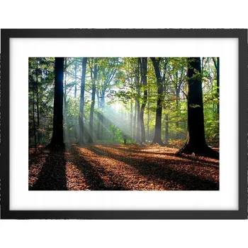 Obraz Obraz plakát v černém rámu do obýváku 40x30 les foto plakáty na zeď