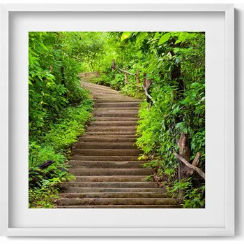 Obraz Ozdobný nástěnný obraz v rámu s grafikou loft Schody uprostřed lesa 50x50 cm