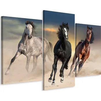 Obraz Obraz Triptych Cválající KONĚ v Poušti 150x100