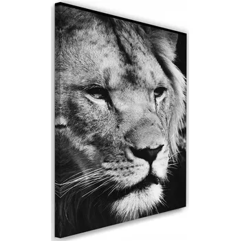 Obraz Obraz na plátně - Canvas, Lev portrét 40x60