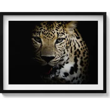 Obraz Obraz s černým rámem a grafikou na zeď Divoká kočka tygr v černé barvě 80x60 cm