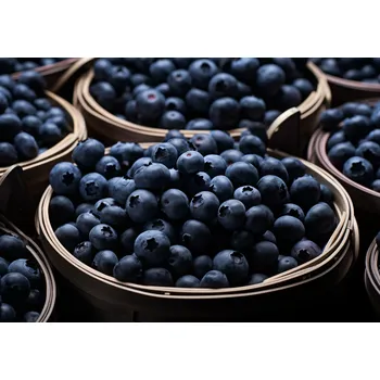 Plakát Plakát Bohatství Chutí bez rámu 66,5 x 46,5 cm