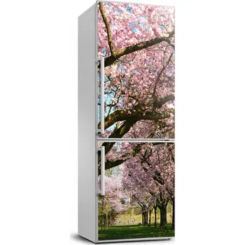 Fototapeta Fototapeta / Samolepka na ledničku - Kvetoucí třešně 70x190 cm