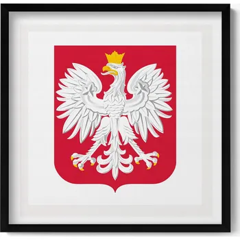 Obraz Nástěnný obraz v černém rámu s grafikou Bílý orel, státní znak Polský, 50x50 cm