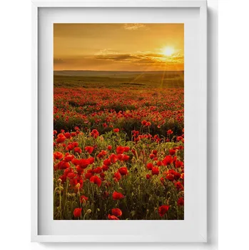Obraz Obraz v bílém rámu dekorace na zeď Krajina louky květů vlčích máků 50x70 cm