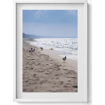 Obraz Dekorativní obraz v rámu do obýváku Mořské vlny a pták na pláži 50x70 cm
