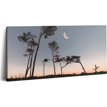 Obraz Obraz Canvas Plátno Do Pokoje Nástěnná Dekorace Půlměsíc a Stromy 100x50