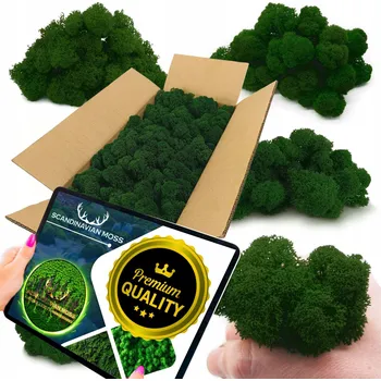 Obraz Sobí mech chrobotek 500g Dekorativní FINSKÝ PREMIUM tmavě zelený