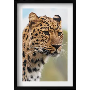 Obraz Dekorativní obraz v černém rámu do obýváku Divoké zvíře hlava kočky 40x60 cm