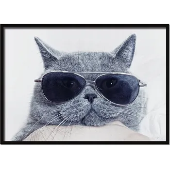 Obraz OBRAZ PLAKÁT V RÁMU 53x73 cm Kočka P503 horizontální