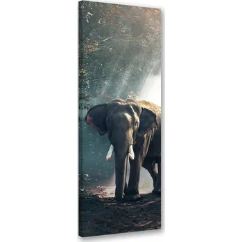 Obraz OBRAZ NA PLÁTNĚ Slon v džungli CANVAS 50x150