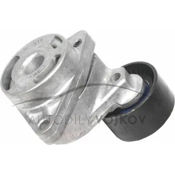 Rozvod motoru Napínací kladka SNR Renault Espace IV 2002 - 2006 2.2 dCi - G9T