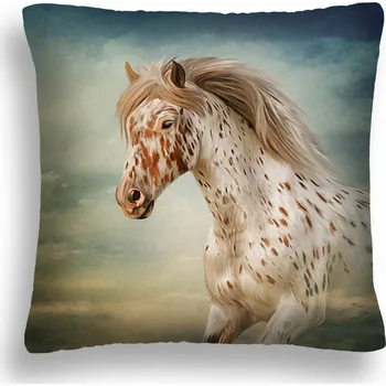 Polštář POLŠTÁŘ S POLŠTÁŘ POVLAKEM POVLAK PAPUCE 38, PL 50X50