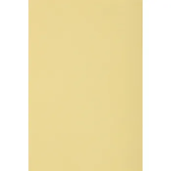Kancelářský papír Barevný papír na vystřihovánky 250g krémový - 10A5
