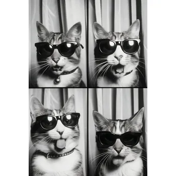 Plakát Plakát Kočičí Koketérie bez rámu 61 x 90,5 cm