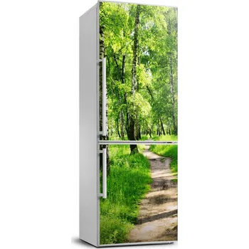 Fototapeta Fototapeta / Nálepka na ledničku - Březový les 70x190 cm