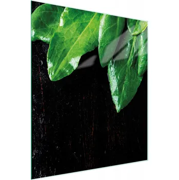 Kuchyňské prkénko Krájecí deska TMK ArtDeko sklo 1 ks