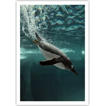 Obraz Plakát na zeď bez rámu 70x100 tučňák obraz plakáty do obývacího pokoje ložnice