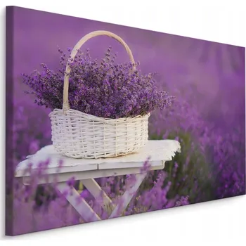 Obraz Nástěnný obraz LEVANDULE v proutěném košíku 70x50 cm