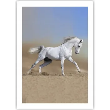 Obraz Plakát bez rámu do obývacího pokoje ložnice 50x70 kůň moderní módní obraz