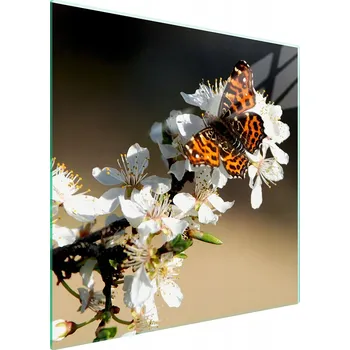 Kuchyňské prkénko Krájecí deska TMK ArtDeko sklo 1 ks