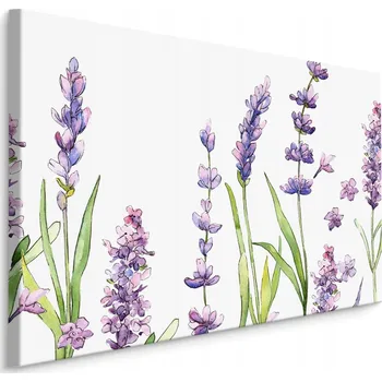 Obraz Obraz do Ložnice Levandule Rostliny AKVAREL 30x20