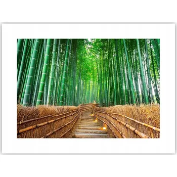 Obraz Obraz plakát do obýváku, ložnice 40x30 bambus foto na zeď bez rámu