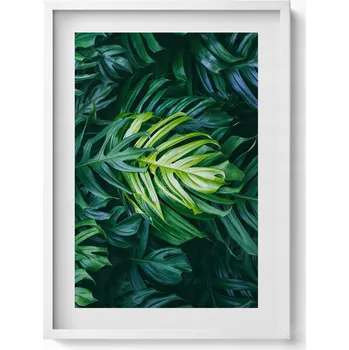 Obraz Závěsný obraz na zeď dekorace do bytu Divoké listy monstery 50x70 cm