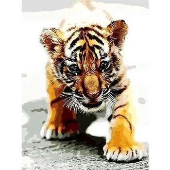 Obraz Obraz MALOVÁNÍ PODLE ČÍSEL S RÁMEM v sadě 50x40 Tygr Tygřík